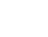 Merit Digital School